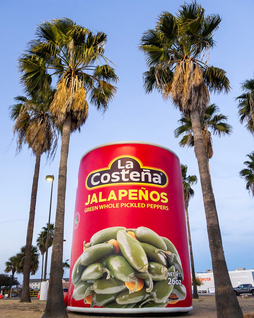 260209 WEB Blog La Firma IMG_4527 copy 2-1