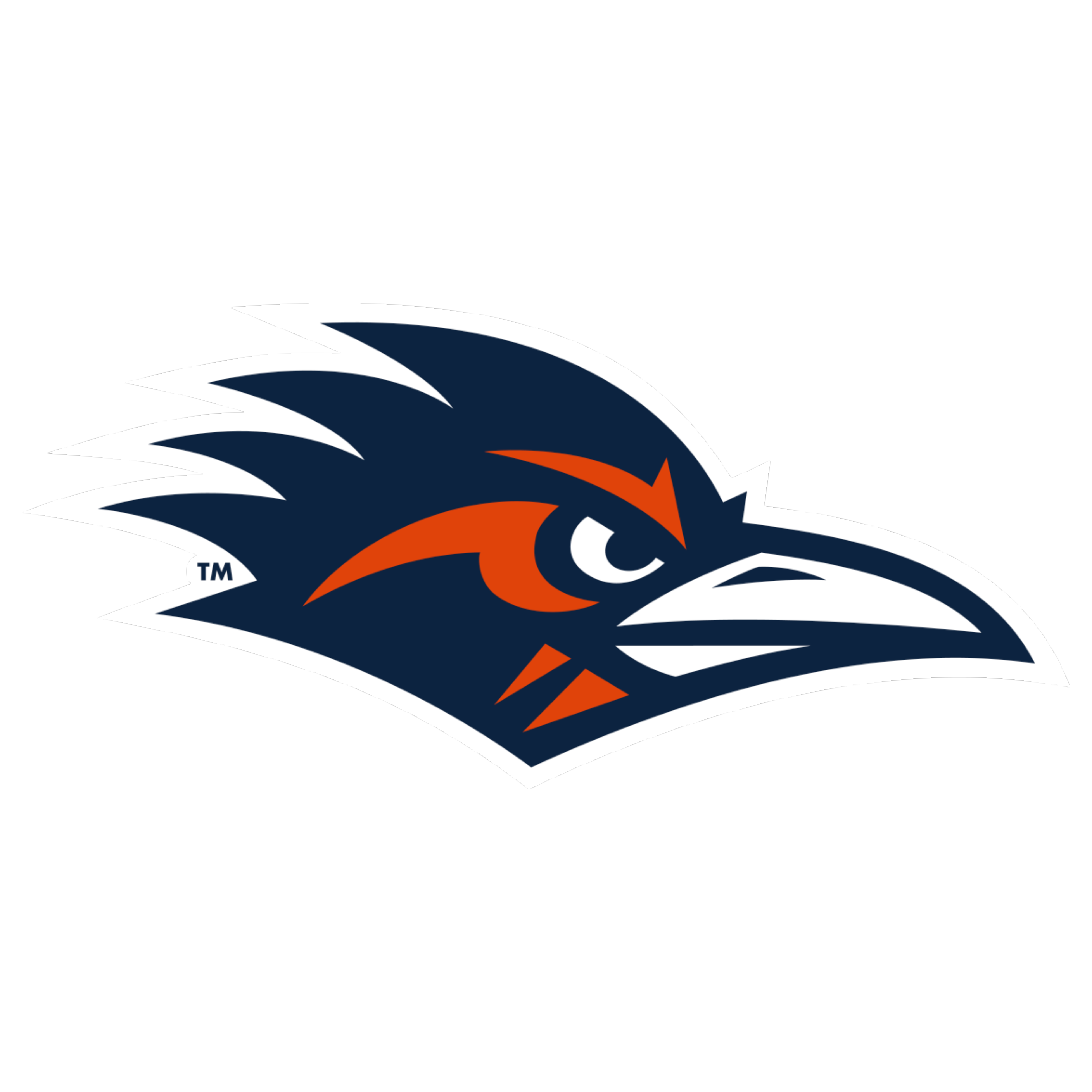 Bird Head Primary (15)